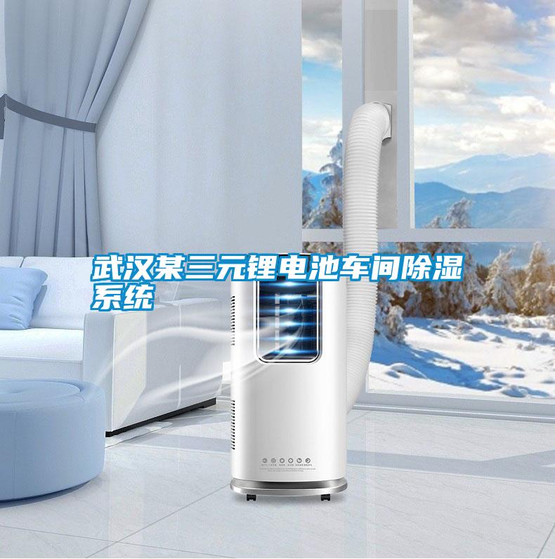 武漢某三元鋰電池車間除濕系統(tǒng)