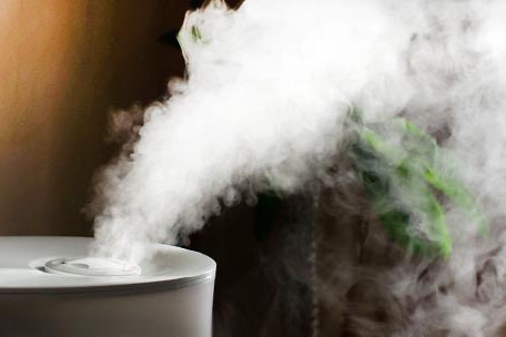 果蔬貯藏保鮮的基礎知識(二) 果蔬貯藏保鮮的基礎知識(二)