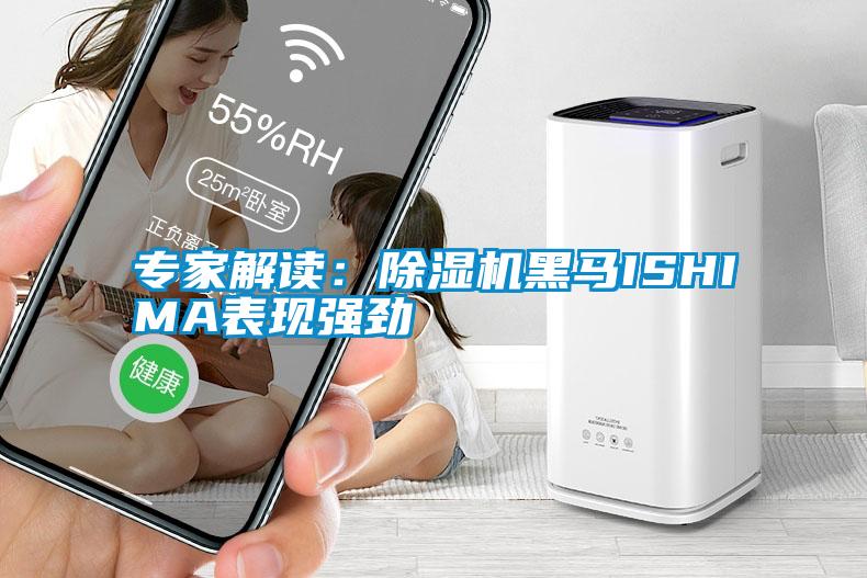 專(zhuān)家解讀：除濕機(jī)黑馬ISHIMA表現(xiàn)強(qiáng)勁