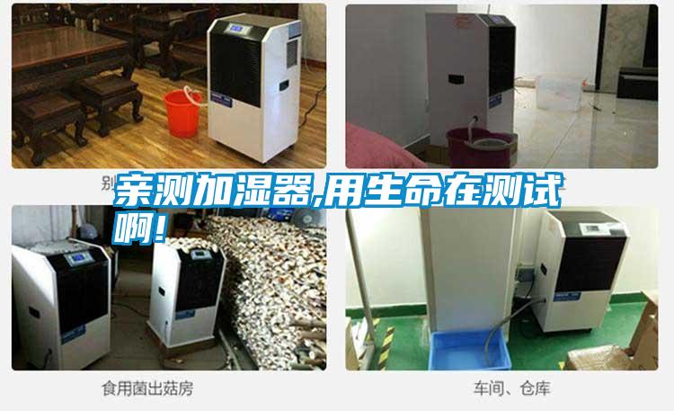 親測加濕器,用生命在測試啊!