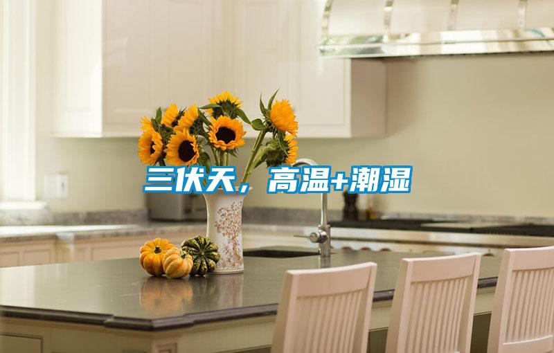 三伏天，高溫+潮濕