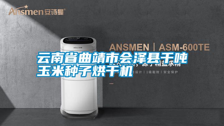 云南省曲靖市會澤縣千噸玉米種子烘干機