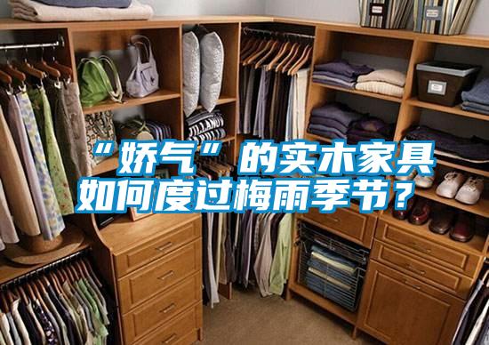 “嬌氣”的實木家具如何度過梅雨季節?