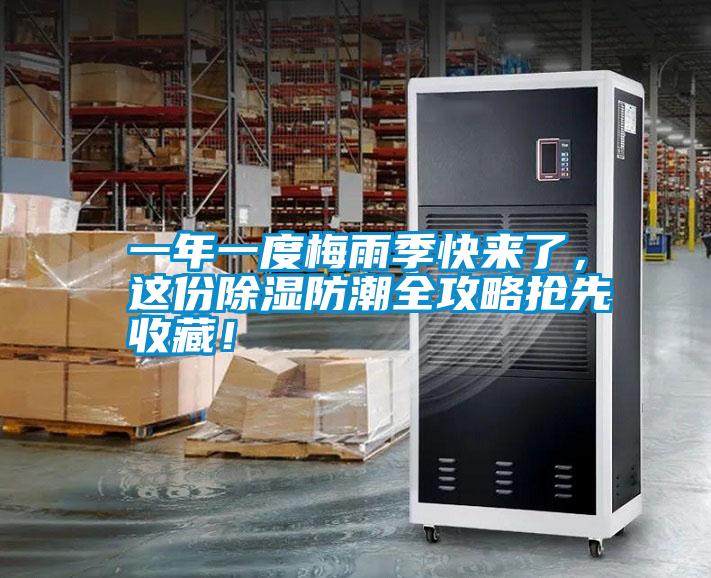 一年一度梅雨季快來了，這份除濕防潮全攻略搶先收藏！