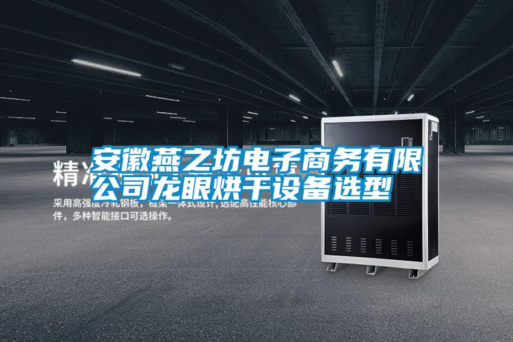 安徽燕之坊電子商務有限公司龍眼烘干設備選型
