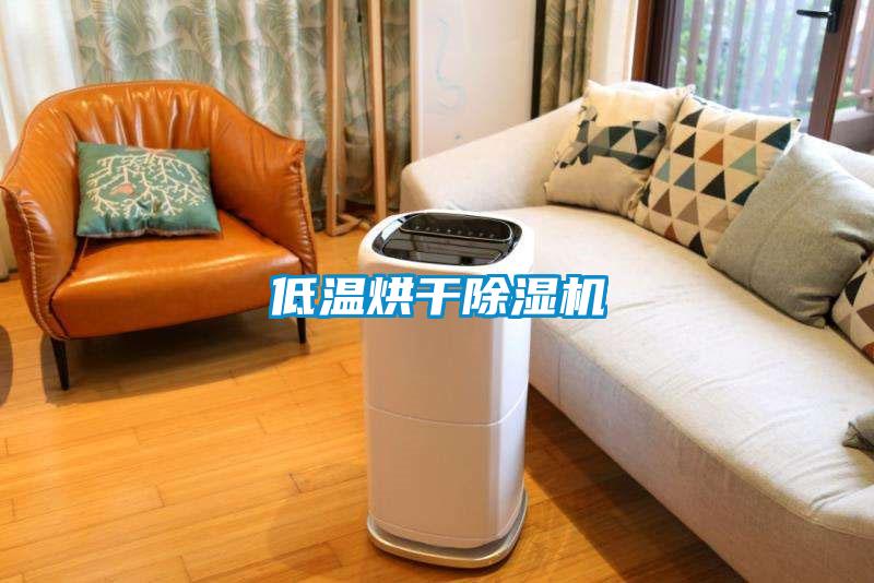 低溫烘干除濕機
