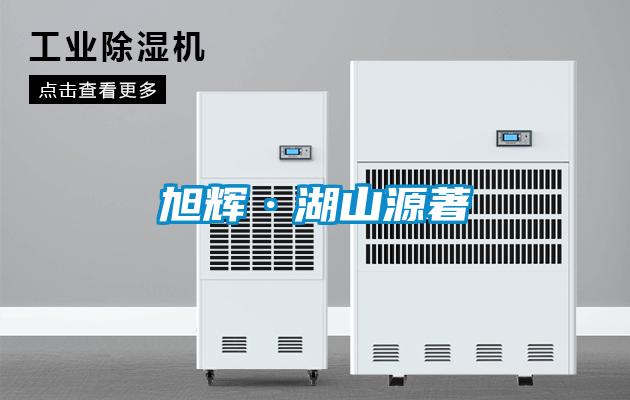 旭輝·湖山源著