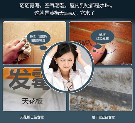 工業除濕機在塑膠塑料生成中的運用 工業除濕機在塑膠塑料生成中的運用