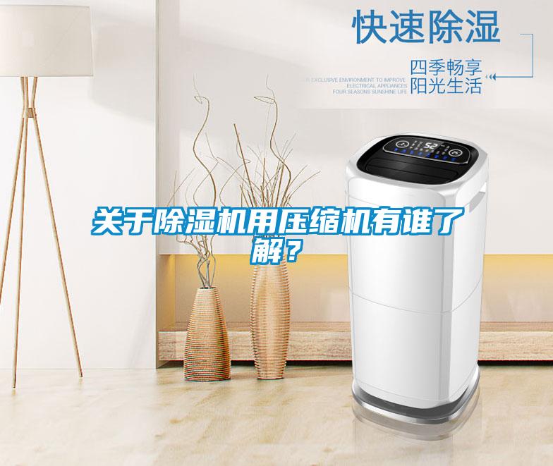 關(guān)于除濕機(jī)用壓縮機(jī)有誰了解?
