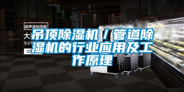 吊頂除濕機／管道除濕機的行業應用及工作原理
