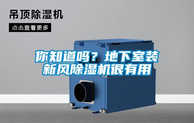 你知道嗎?地下室裝新風(fēng)除濕機(jī)很有用