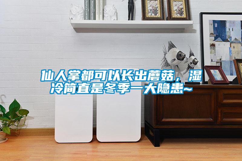 仙人掌都可以長出蘑菇，濕冷簡直是冬季一大隱患~