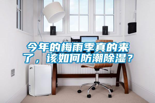 今年的梅雨季真的來了,該如何防潮除濕?