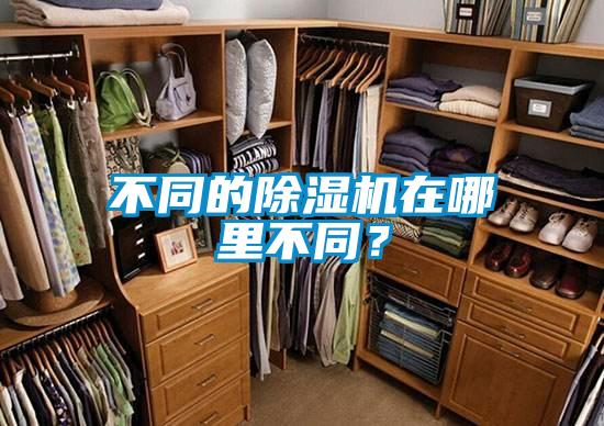 不同的除濕機在哪里不同?