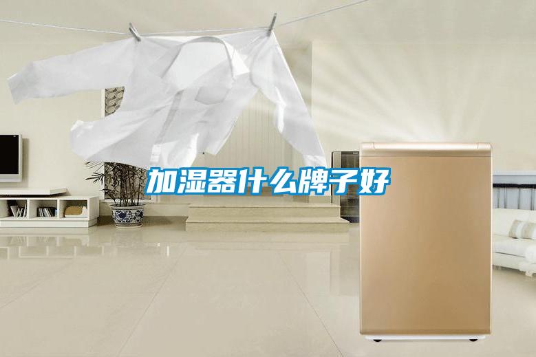 加濕器什么牌子好