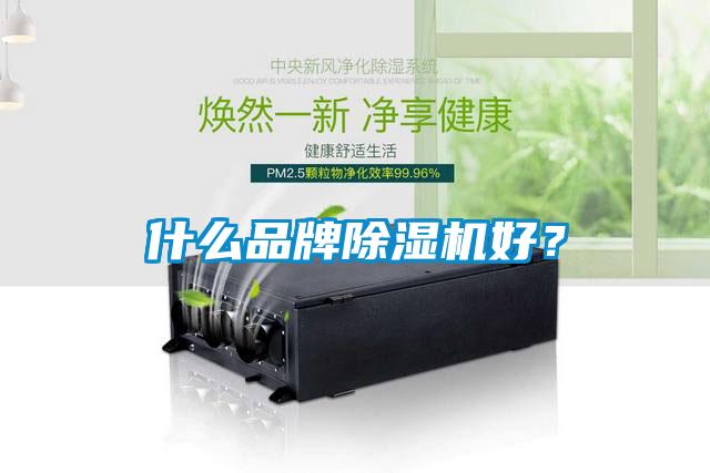 什么品牌除濕機好？