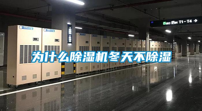 為什么除濕機冬天不除濕