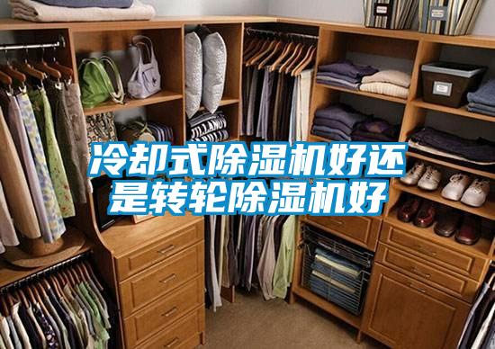 冷卻式除濕機好還是轉輪除濕機好