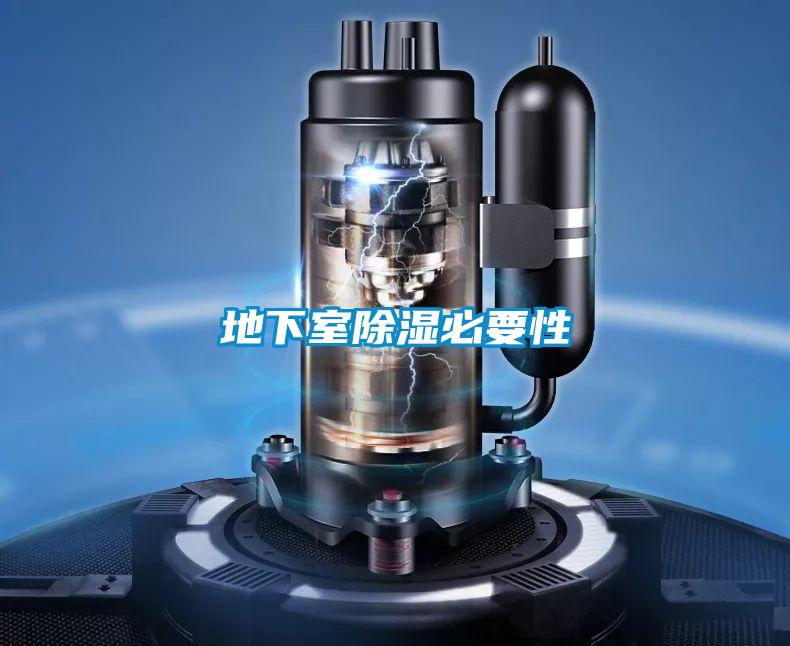 地下室除濕必要性