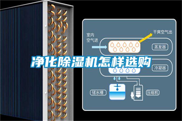 凈化除濕機怎樣選購