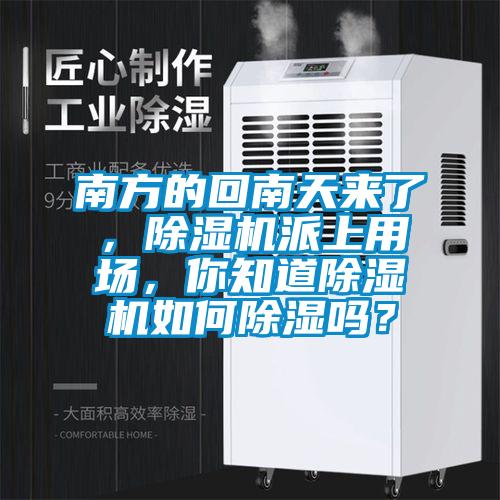 南方的回南天來了,除濕機派上用場,你知道除濕機如何除濕嗎?
