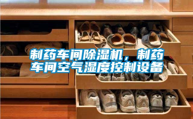 制藥車間除濕機,制藥車間空氣濕度控制設(shè)備