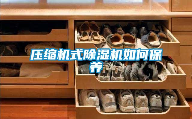 壓縮機式除濕機如何保養