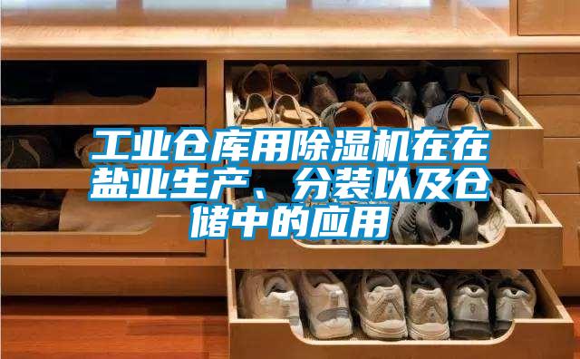 工業倉庫用除濕機在在鹽業生產、分裝以及倉儲中的應用
