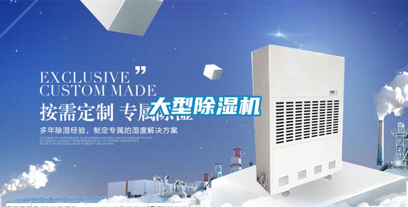 大型除濕機(jī)