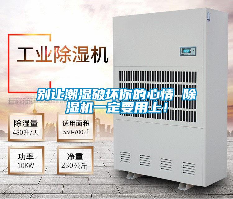 別讓潮濕破壞你的心情 除濕機一定要用上!