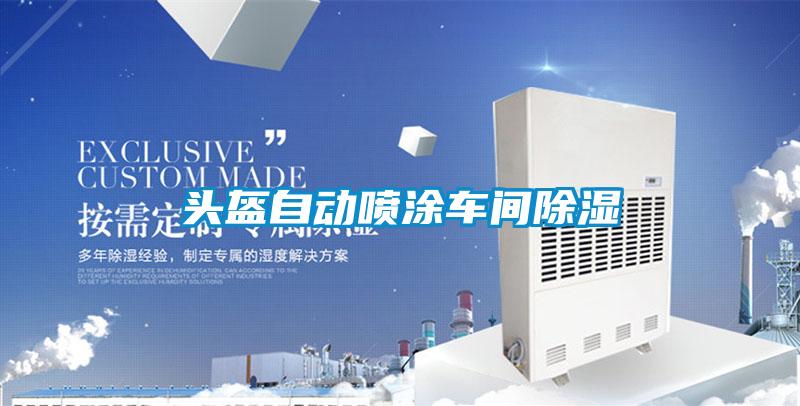 頭盔自動噴涂車間除濕