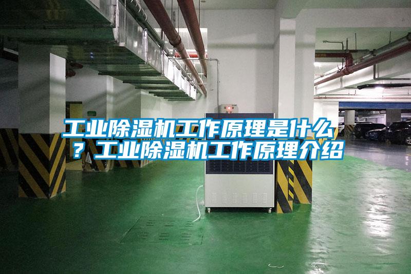 工業除濕機工作原理是什么 ？工業除濕機工作原理介紹