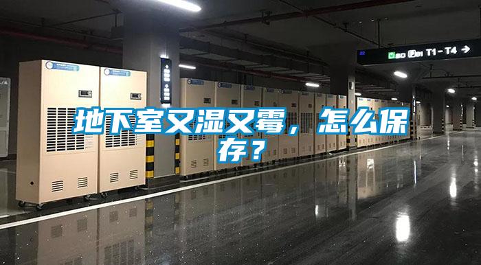 地下室又濕又霉，怎么保存？