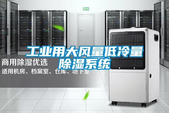 工業(yè)用大風量低冷量除濕系統(tǒng)