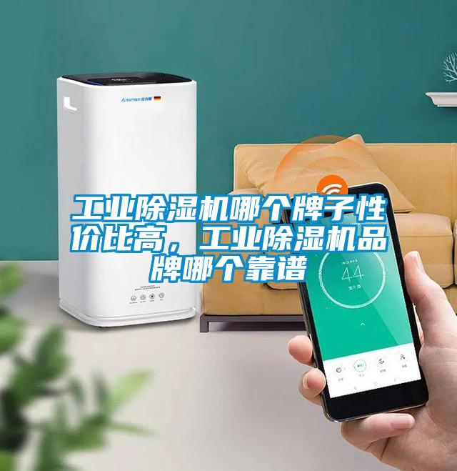 工業除濕機哪個牌子性價比高，工業除濕機品牌哪個靠譜