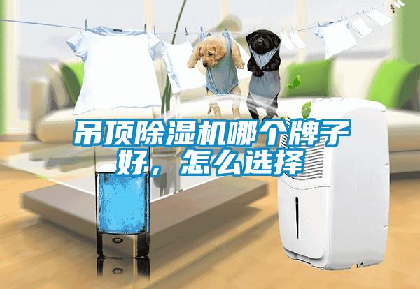 吊頂除濕機(jī)哪個(gè)牌子好,怎么選擇