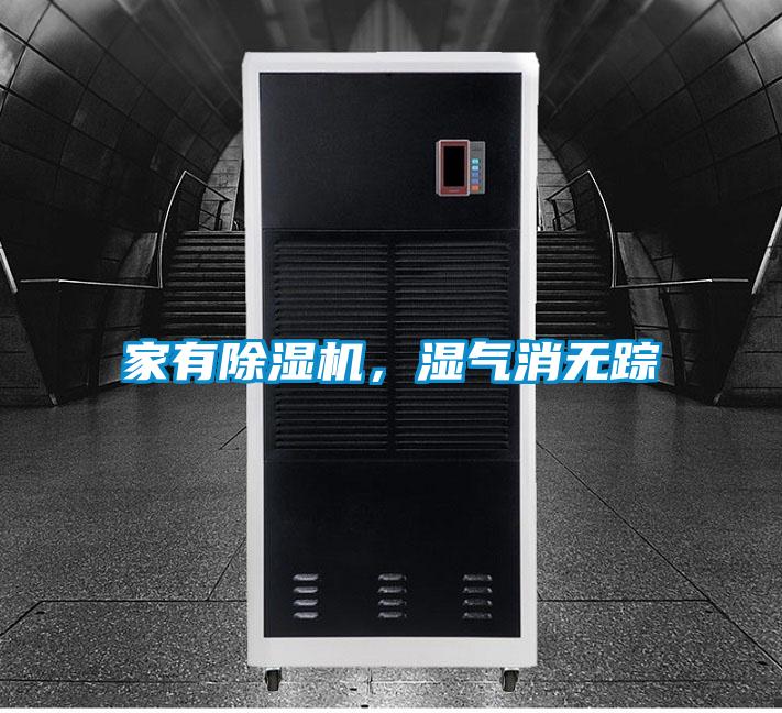 家有除濕機，濕氣消無蹤