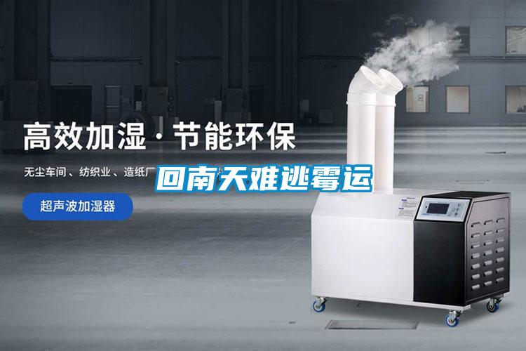 回南天難逃霉運