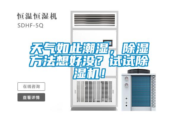 天氣如此潮濕，除濕方法想好沒？試試除濕機！