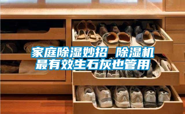 家庭除濕妙招 除濕機(jī)最有效生石灰也管用