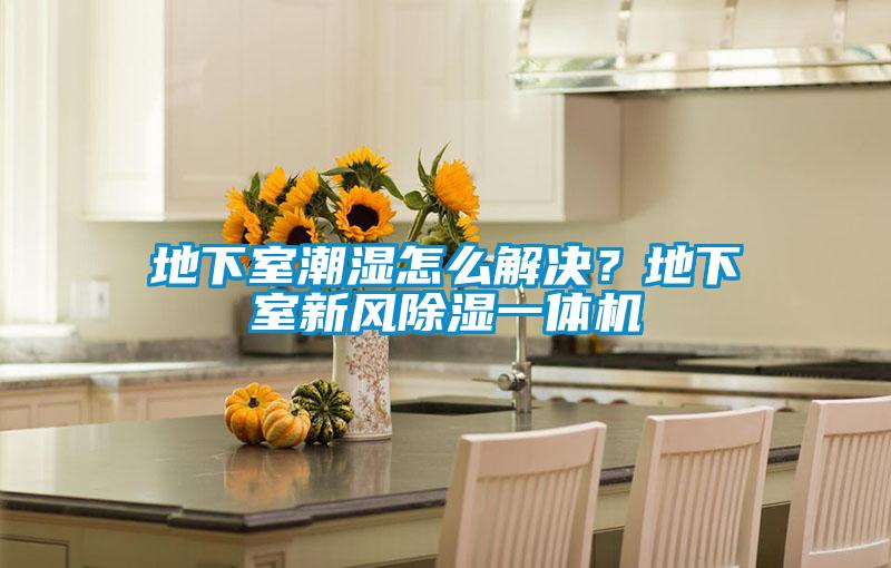 地下室潮濕怎么解決?地下室新風除濕一體機