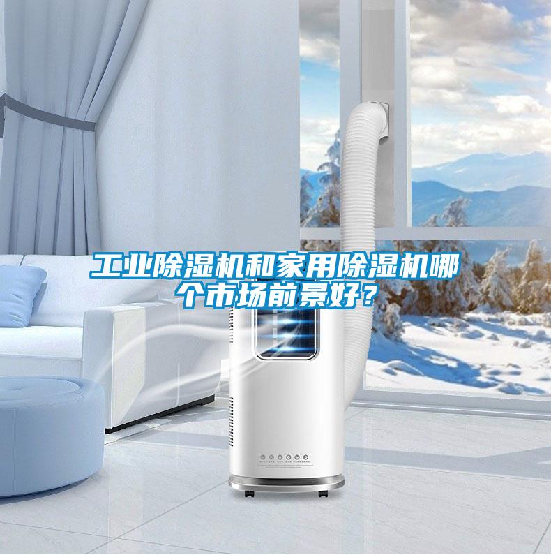 工業除濕機和家用除濕機哪個市場前景好？