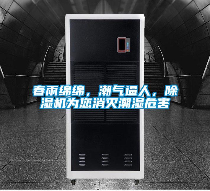 春雨綿綿,潮氣逼人,除濕機(jī)為您消滅潮濕危害