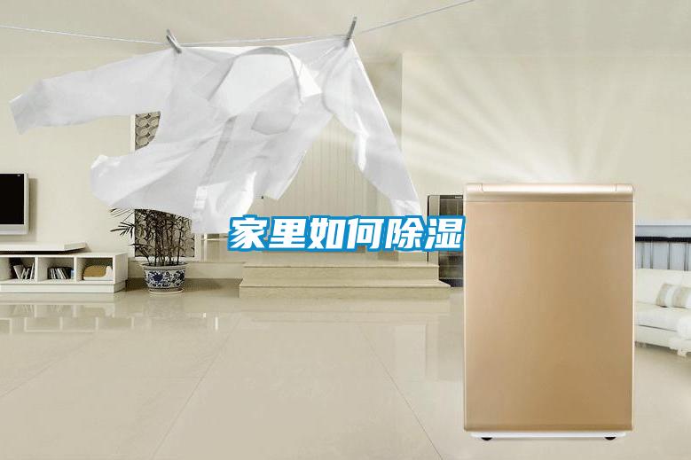 家里如何除濕