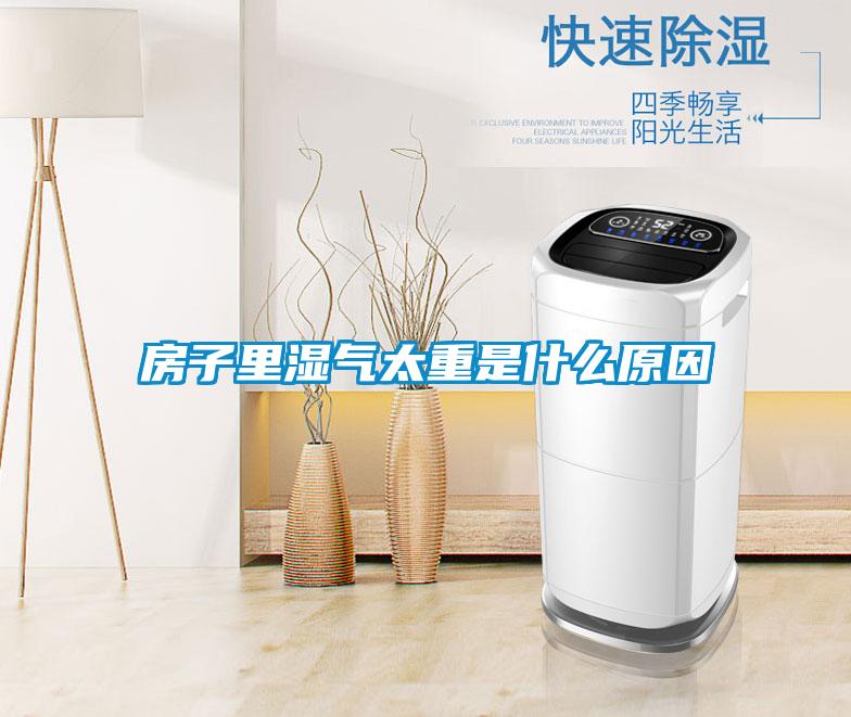 房子里濕氣太重是什么原因