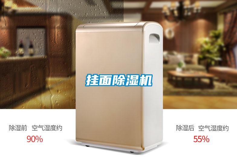 掛面除濕機