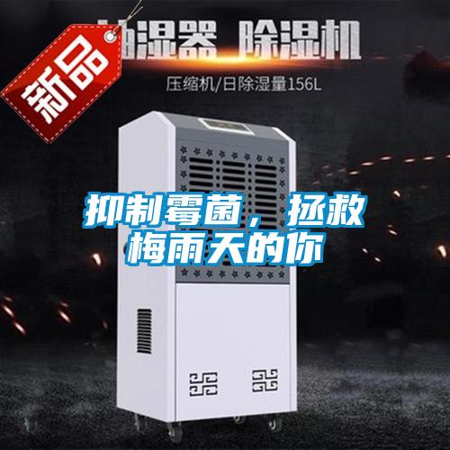 抑制霉菌，拯救梅雨天的你