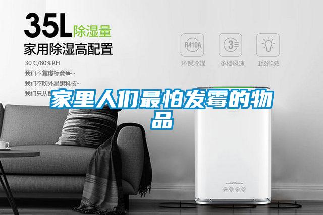 家里人們最怕發霉的物品