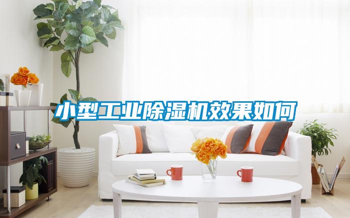 小型工業(yè)除濕機(jī)效果如何