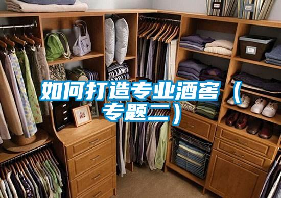 如何打造專業酒窖(專題二)